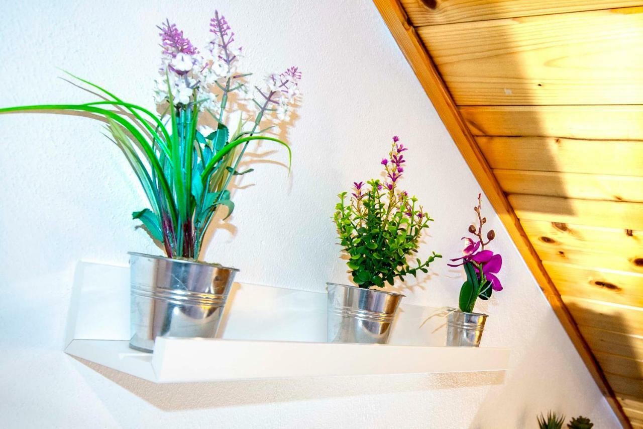 La Mansarda Di Emma Apartment Пинцоло Екстериор снимка